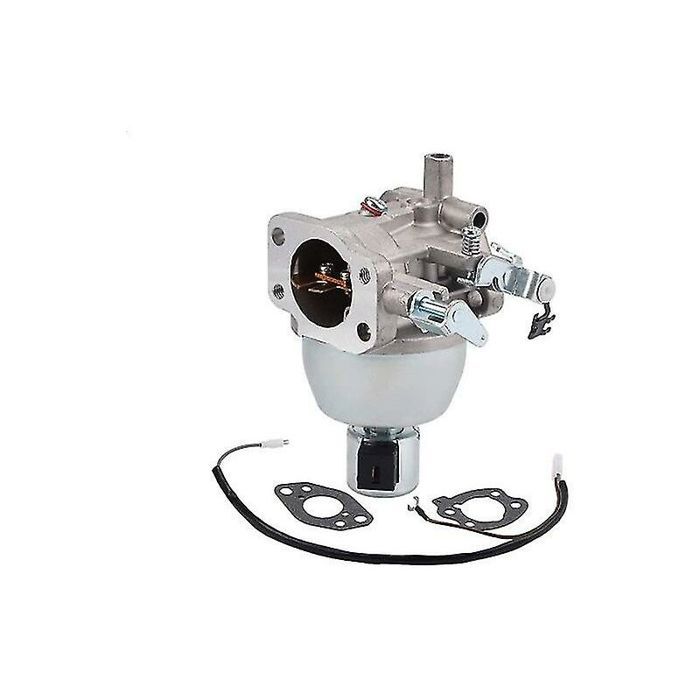 Eosnow Juego de filtros de carburador 847395 para motor JD LT‑166 16HP Vanguard 846280 808725 846944 350772‑0045‑01 350772‑0102‑01 Eosnow Juego de filtros de carburador 847395 para motor JD LT‑166 16HP Vanguard 846280 808725 846944 350772‑0045‑01 350772‑0102‑01