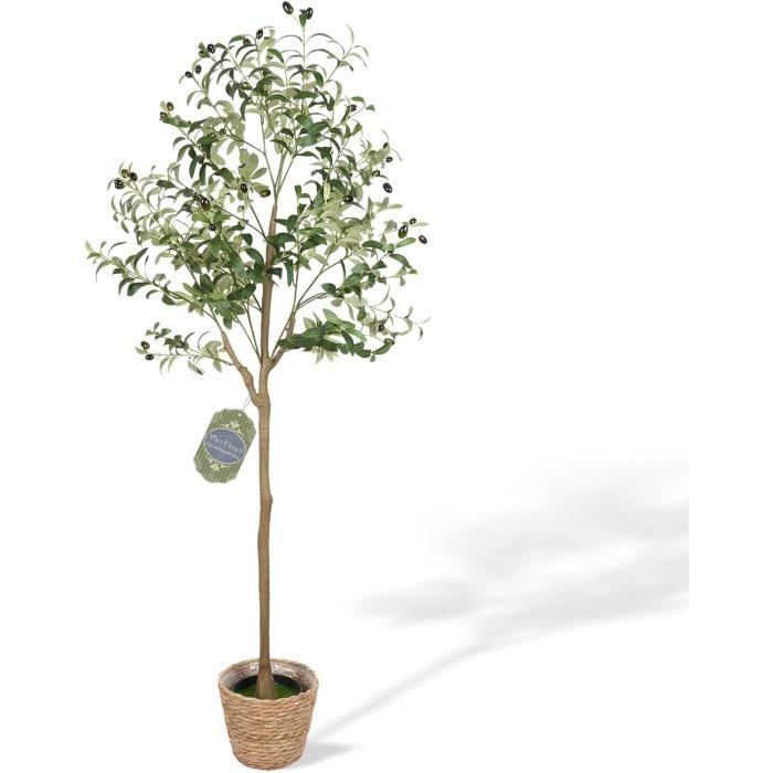 Modulo ESP32 Mini - Scheda Di Sviluppo WiFi E Bluetooth, Con Interfaccia Type-C, Compatibile Con Arduino - Foto 5