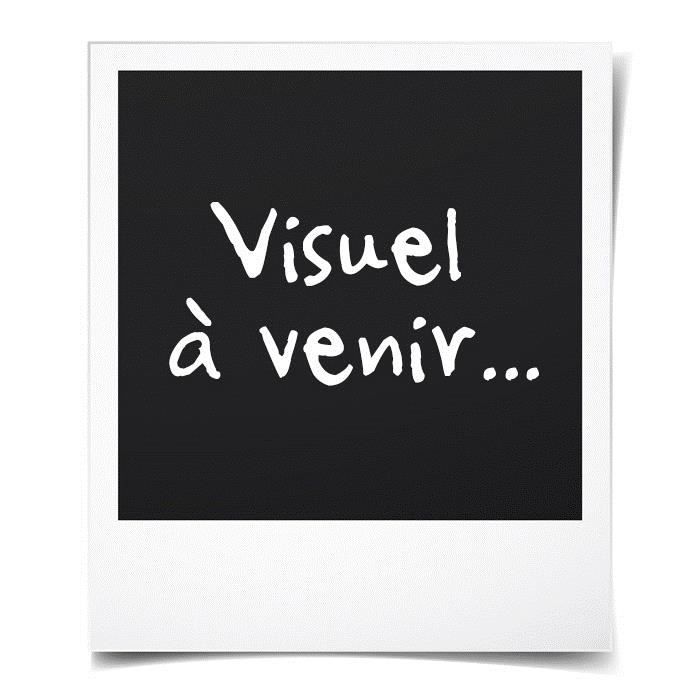 livre la rencontre des kinra girls