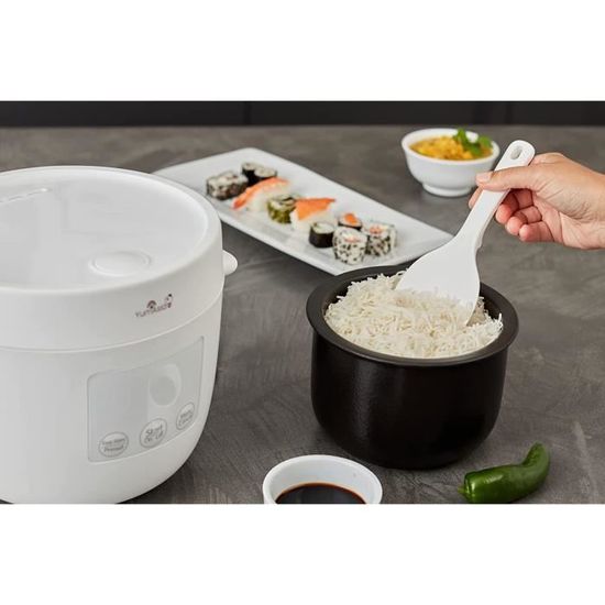Yum Asia Tsuki Mini cuiseur à riz avec bol en céramique Shinsei (2,5  tasses, 0,45 litre) 5 fonctions de cuisson du riz, 2 fonctions  multicuiseur, affichage LED caché, 220-240V (Pebble Grey) 