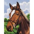 Canevas Portrait cheval - 029-0