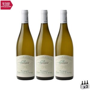 VIN BLANC Bourgogne Hautes Côtes de Beaune Blanc 2021 - Lot 