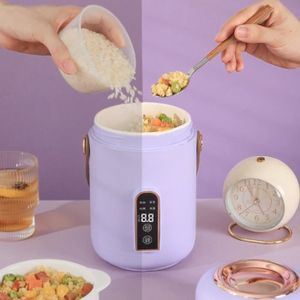 Cuiseur à riz pour four à micro-ondes, récipient alimentaire  multifonctionnel, marmite à vapeur à deux