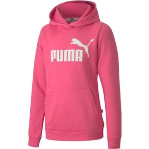Sweat a capuche puma pas cher Clearance