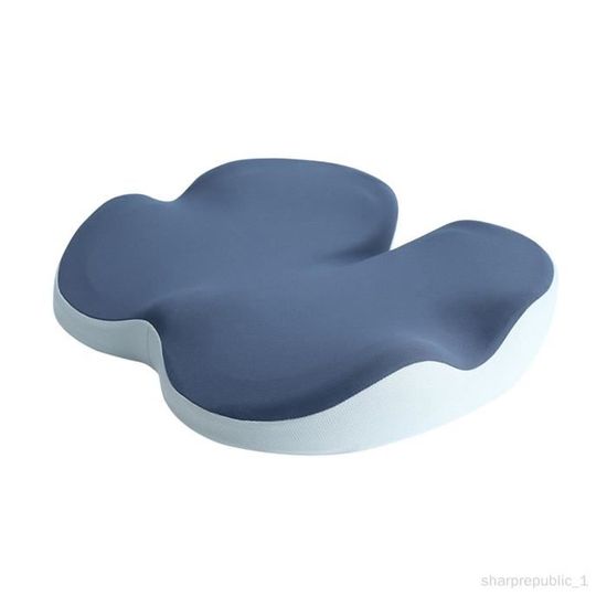 Coussin De Dossier Ergonomique En Mousse à Mémoire De Forme, Coussin Lombaire Pour Chaise De