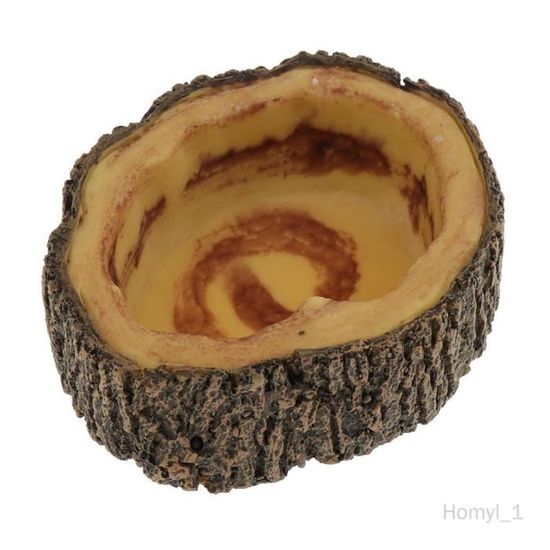Bol Alimentation Pour Reptiles Avec Ventouse - Plateau Séparé 5 Coupelles, Distributeur Eau Et Nourriture Pour Gecko, Lézard, Tortue