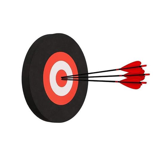 Cible De Tir à L'arc Portable En Mousse EVA Noire - TOPARCHERY, Pour Entraînement Chasse Et Pratique Du Tir