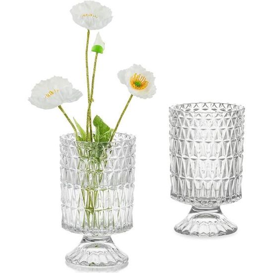 Lot De 2 Vases En Verre - Occasion En Bon état Pour Décoration Intérieur Bouquet
