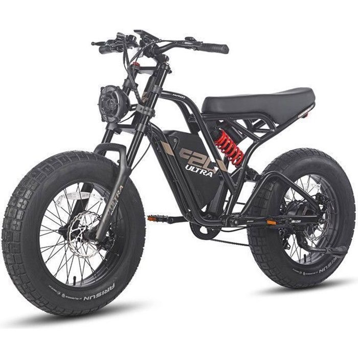 Vélo Électrique FAFREES F20 ULTRA - Motor 1200W - 48V/25Ah LG Batterie,Tout Terrain VTT Électrique 20*5.0\