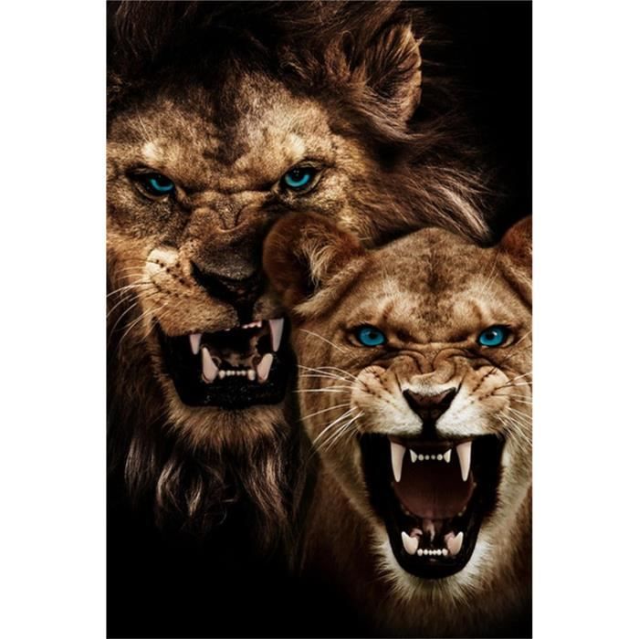 DCIDBEI 40x50CM Rond Diamond Painting Lion, Broderie Diamant