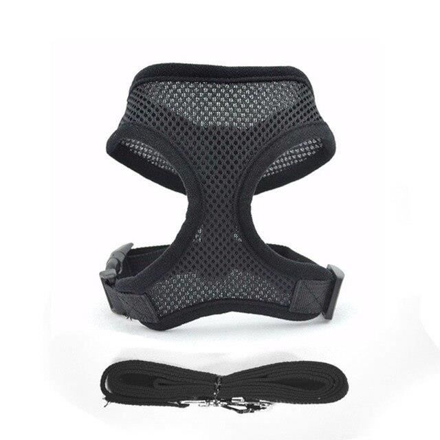 Harnais en maille pour chiens, Petit