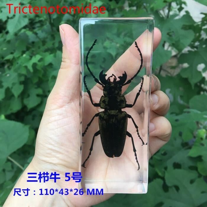 899552_3 899552_3