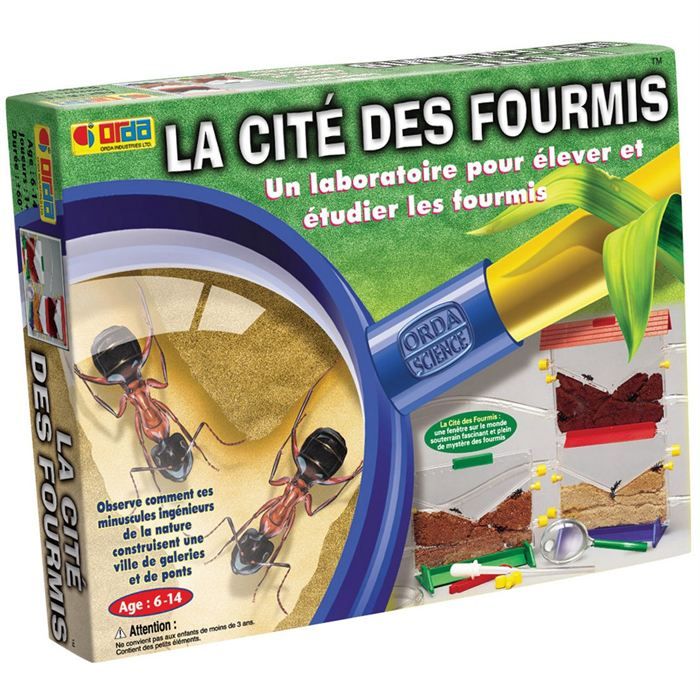 Maison De Fourmis Cdiscount Maison De Fourmis Cdiscount