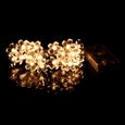 2.2M 20 LED guirlande lumineuse fleur de prunier lampes éclairées jaune corde lumières pour  CORDE POUR INSTRUMENT DE MUSIQUE-2