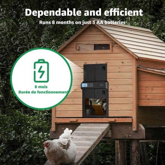 Porte Automatique Poulailler VAYALT 2024 - Aluminium, Minuterie, Anti-pincement, Étanche IPX6 | Pour Poules Et Volailles