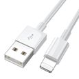 Chargeur pour iPhone 14 / 14 Plus / 14 Pro / 14 Pro Max Cable USB Data Synchro Blanc 1m-0