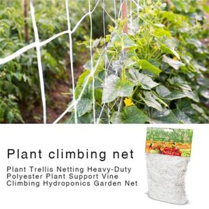 PLANTE POUSSÉE PLANTE POUSSEE 167x5m - Filet en treillis pour plantes en Polyester robuste Support pour plantes vigne grimpante acces