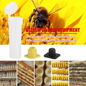 KIT MATERNAGE - ÉLEVAGE Tbest tasse d'élevage apicole 50 PCS Apiculture Él