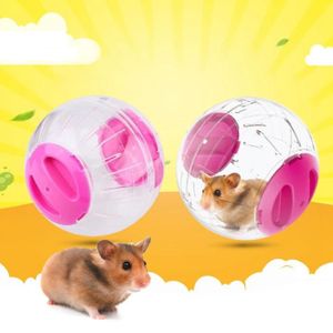 VIVARIUM - TERRARIUM 12cm Nouveau mode plastique Rongeur hamster gerbil