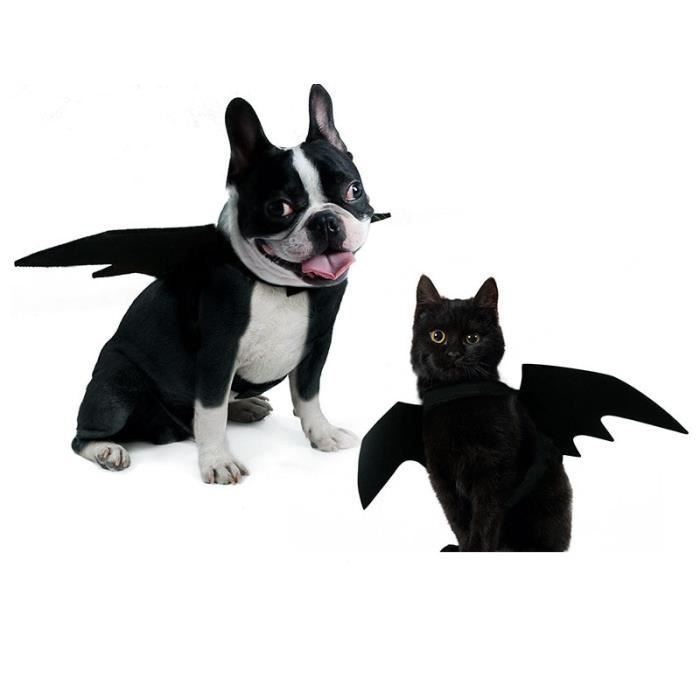 Manteau Blouson,Vêtements ailes chauve souris pour chats Drôles, vêtements pour chats, Costume d'halloween - Type Black-S 15x16cm