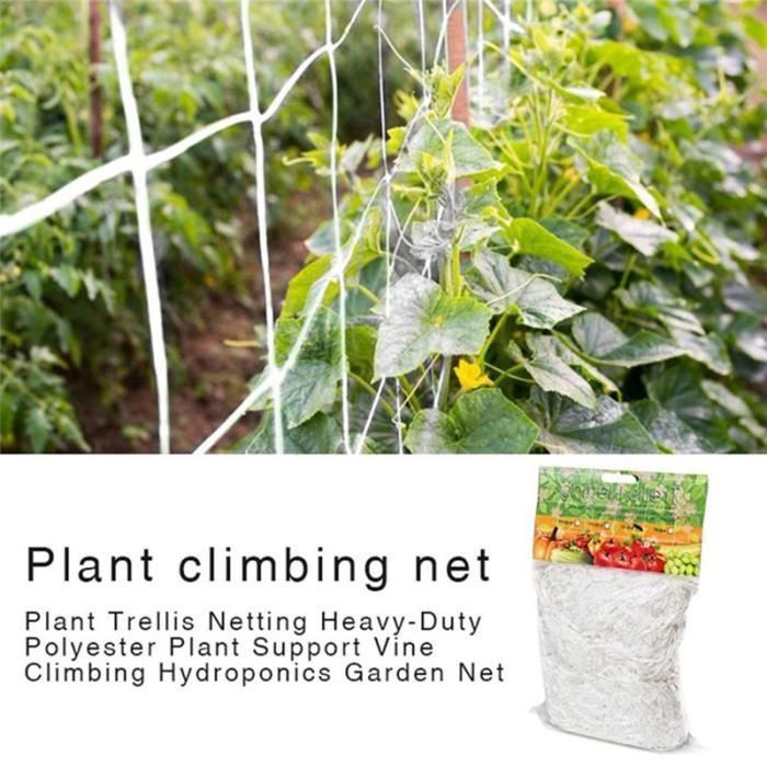 Filet De Support Pour Plantes Grimpantes 1,2x30m - Treillis Jardin Pour Tomates Concombres Fruits