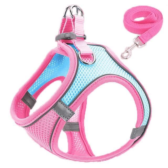 Fournitures pour animaux de compagnie, corde de Traction en Nylon
