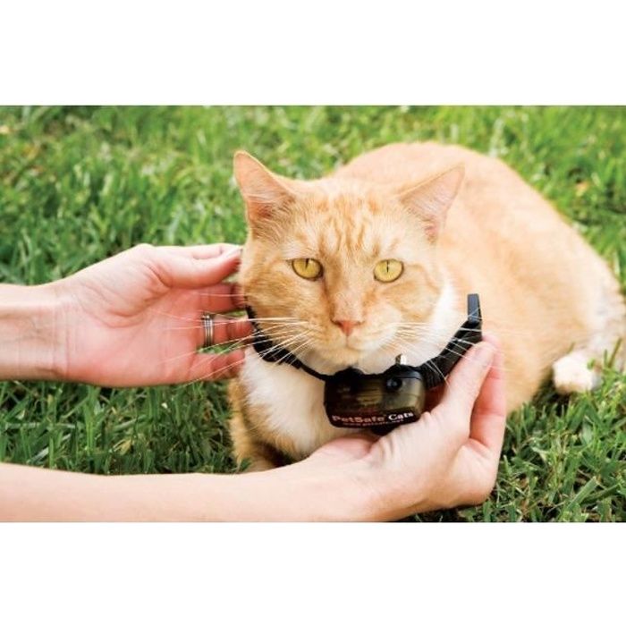 petsafe - collier pour chat, 4 niveaux de stimulation, léger, réglable et anti-étranglement, à pile