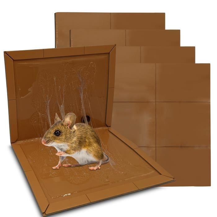 Piege a glu pour rat et souris, plaque collante pour rat et rongeurs, piège à colle