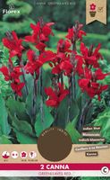 Bulbes de Canna - Greenleaves Red - Variété d'été - Rouge - Hauteur 70-90 cm