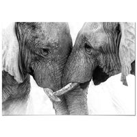 Tableau Panorama Couple Éléphants 100x70 cm - Imprimée sur Toile - Tableau Animaux