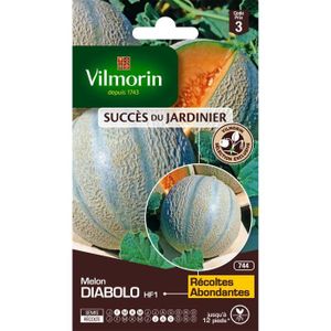 Graines De Melon Charentais Semillas Batlle - Fruit Sucré Et Parfumé