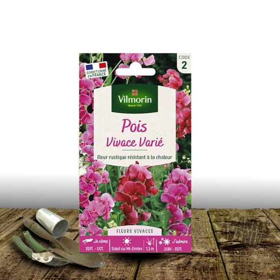 Pied D Alouette Delphinium Vivace Varie Série 2 Sachet Graines 0,5 G - Vilmorin