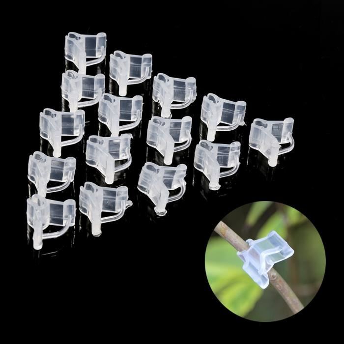 100PCS Pince à greffer pour plantation de tomate et Pince à greffer