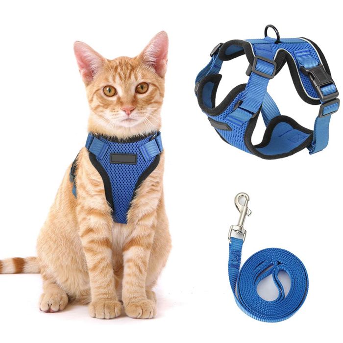 Comparer les prix de Gilet harnais et laisse chaton respirant - Réglable et souple promenade extérieur sécurité Label