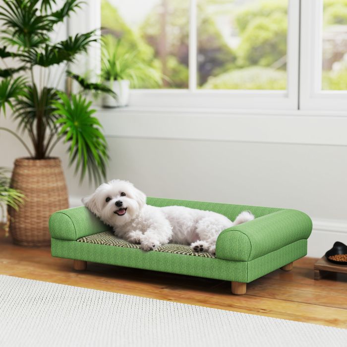 Meilleurs prix pour Canapé pour chien chat lit pour chien surélevé assise de tapis frais accoudoirs en velours doux 63 x 41 x 17 cm vert