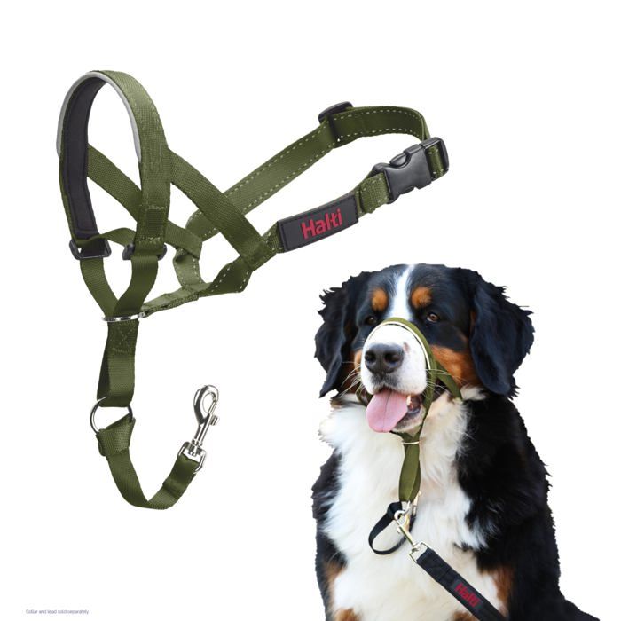 Licol anti-traction pour chien - Halti - Taille 4 - Vert Forêt - Nylon robuste - Muserolle rembourrée en néoprène