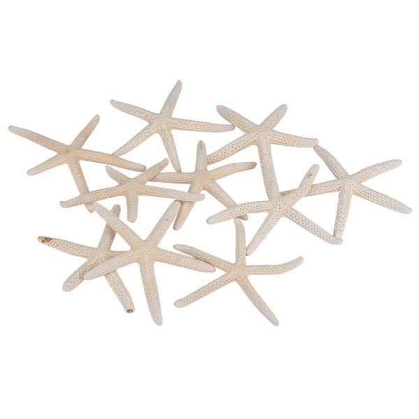 Sourcingmap 2/ pcs 60/ mm de diam/ètre int/érieur de Voiture d/échappement Test Tuyau en-t/ête Collecteur Tuyau de Descente Donut Joint d/étanch/éit/é
