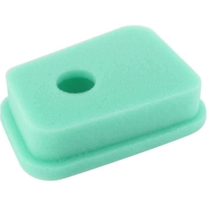 Filtre à air BRIGGS ET STRATTON 27987