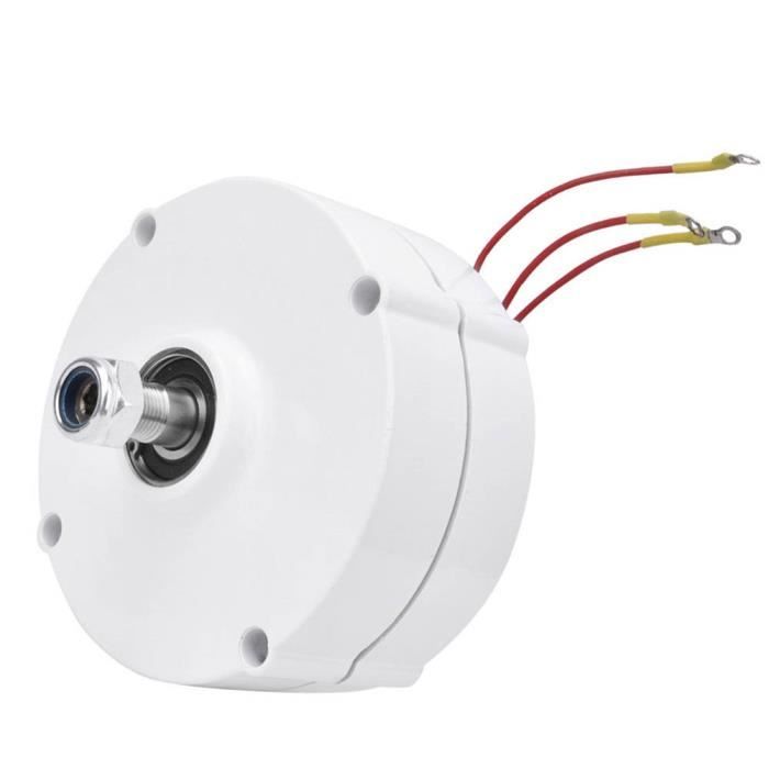 alternateur à aimant permanent en cuivre à bas rpm 1200w