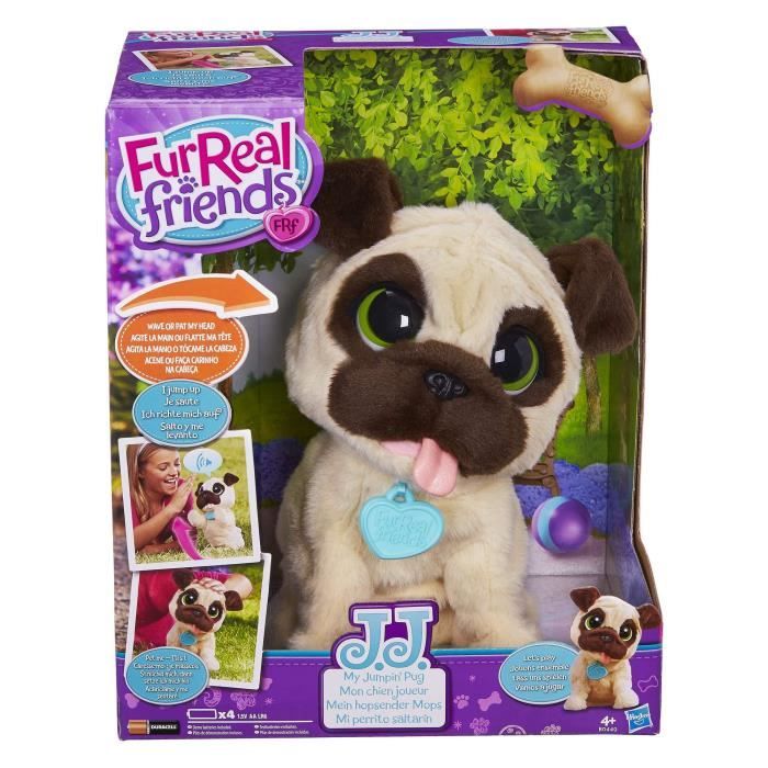 filo mon chien bavard prix