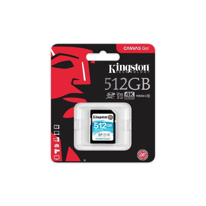 Kingston Canvas Go! SD