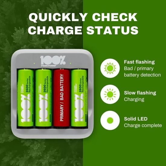 Chargeur Piles Rechargeables AA et AAA - 4 Piles AA Minh Rechargeables  incluses, 100% PEAKPOWER, Chargeur Rapide avec USB 4 Piles