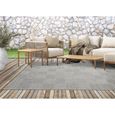 Tapis de Salon ou Terrasse en gris-beige 67x180 | Tapis plat moderne | Rectangulaire | Interieur et Exterieur - The Carpet Ottowa-0