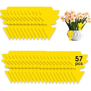 Lot De 5 Étuis De 6 Stickers Anti-Mouches CATCH - Décoratifs Jaunes - Piège à Insectes