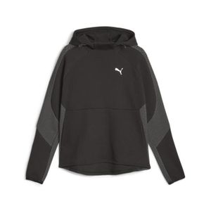 SWEATSHIRT Sweatshirt à capuche femme Puma Evostripe - noir -