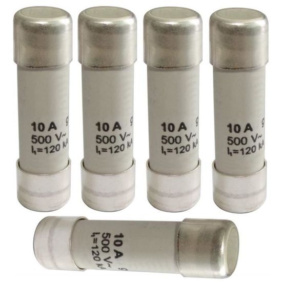 Pack De 5 Fusibles Axiaux Céramiques T10A 250V - 6x30mm (1/4 X 1 1/8 Pouces) - Pour Circuits électroniques