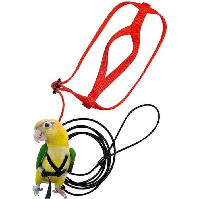 Harnais et Laisse pour Oiseaux - - Rouge - Réglable - 202cm - Extérieur au hasard YYV