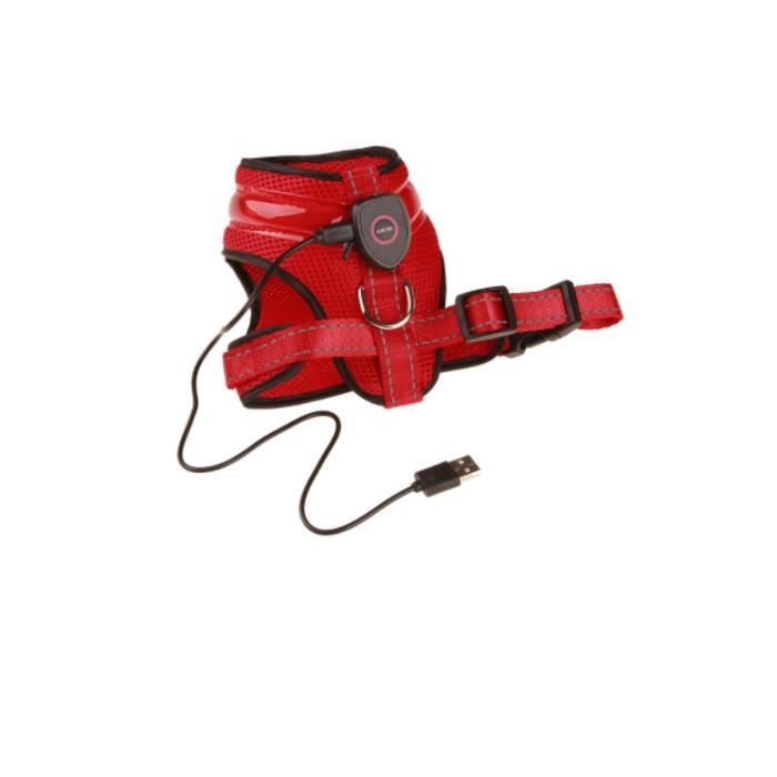 Meilleurs prix pour Gilet pour chien avec lumière LED ceinture réglable rembourrée - avec sangles et boucles - rechargeable - Rouge