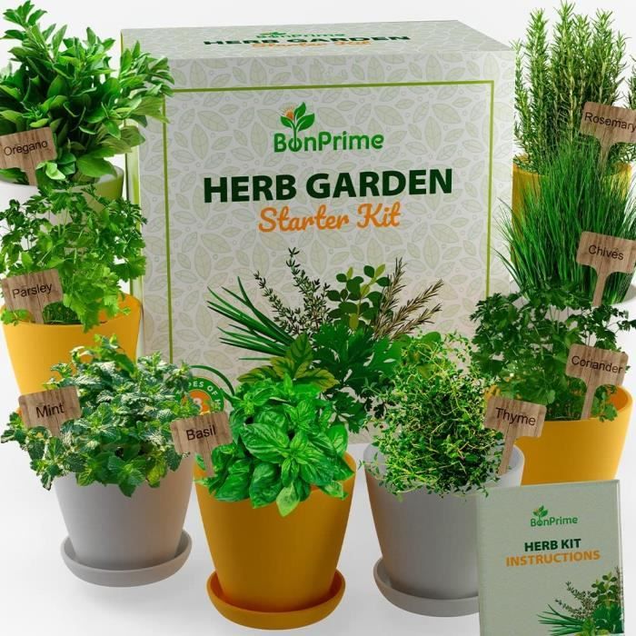 Kit de Potager d'Herbes Aromatiques - Set Jardinage 8 Graines