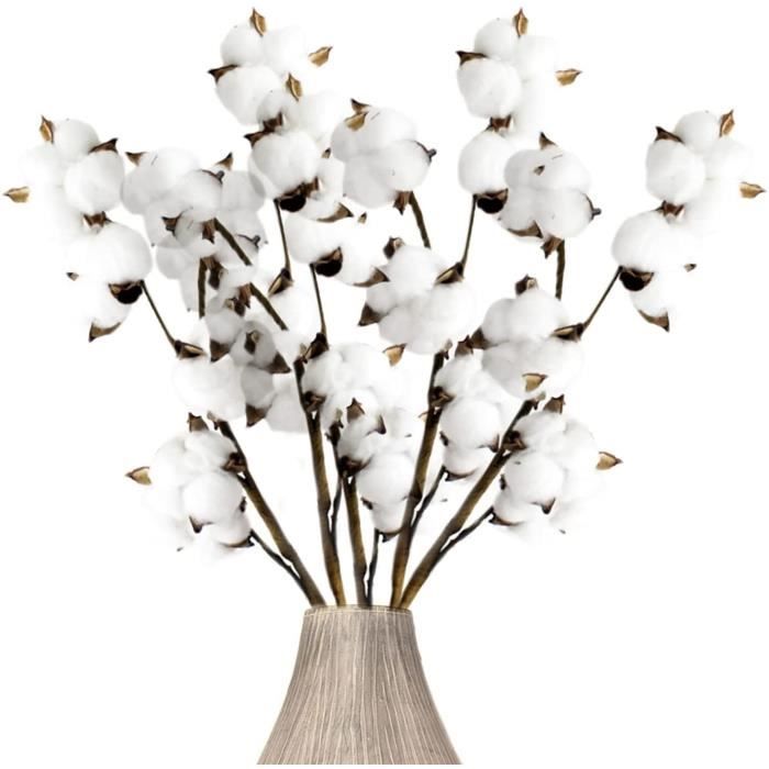 Fleur De Coton Artificielle Coton Branche Decorative Pour Vase Balcon  Decoration Fleur Sechees Naturel Coton Fleurs Artificie[1214] - Cdiscount  Maison